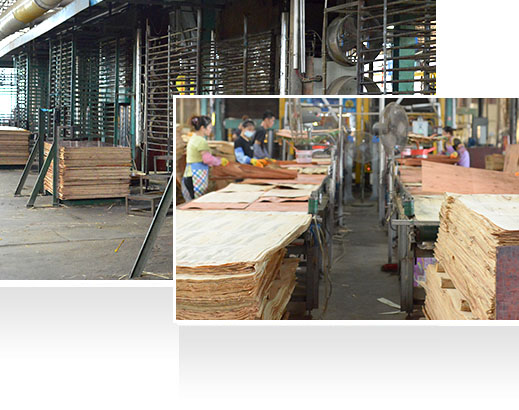 —30年耕耘，實(shí)力深厚