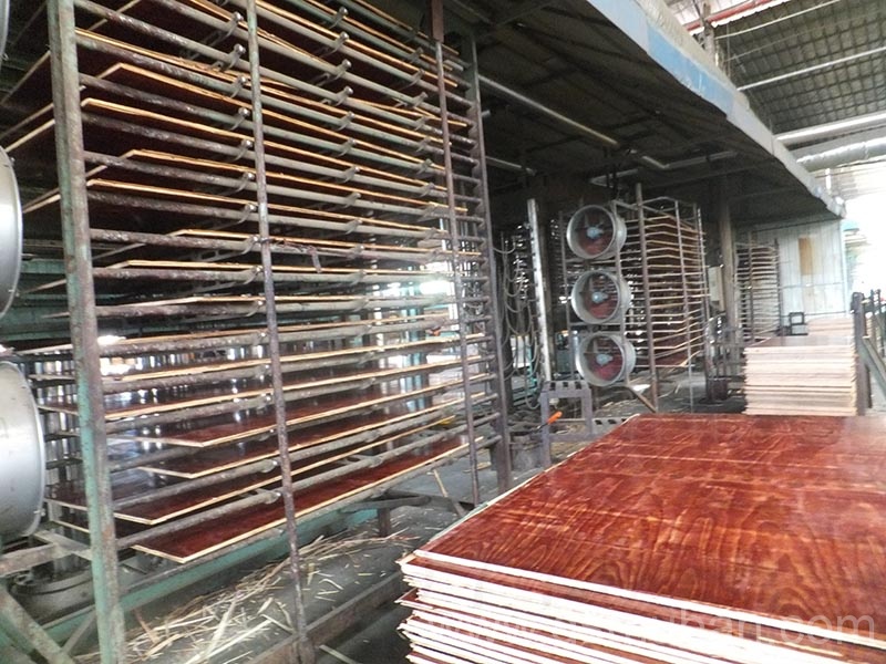 工地模板多少錢一平米?這樣選降低成本價(jià)格